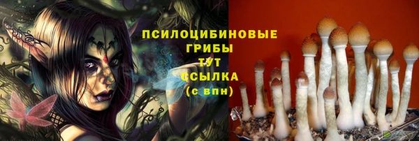 а пвп мука Алзамай